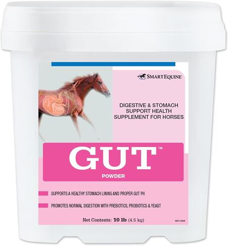 Uckele Gut Horse Supplement - Equine Vitamin & Mineral Supplement - 2 pound (lb) in Saudi Arabia
