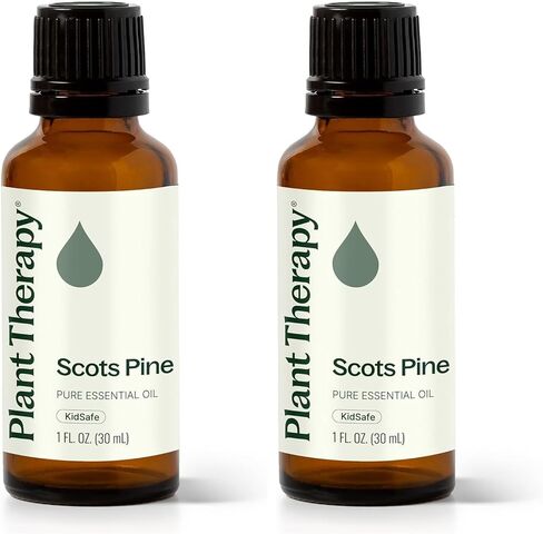 Plant Therapy Scots Pine Essential Oil 30 mL (1 oz) 100% Pure, Undiluted, Therapeutic Grade in Saudi Arabia