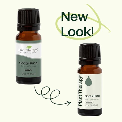 Plant Therapy Scots Pine Essential Oil 30 mL (1 oz) 100% Pure, Undiluted, Therapeutic Grade in Saudi Arabia