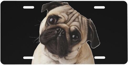 Pug Dog Front License Plate for Women Car Vanity Plates Decorative Aluminum Metal Cute Novelty License Plate Cover for Men 6x12 Inch (4 Holes) in Saudi Arabia