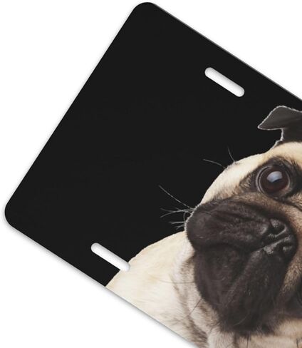 Pug Dog Front License Plate for Women Car Vanity Plates Decorative Aluminum Metal Cute Novelty License Plate Cover for Men 6x12 Inch (4 Holes) in Saudi Arabia