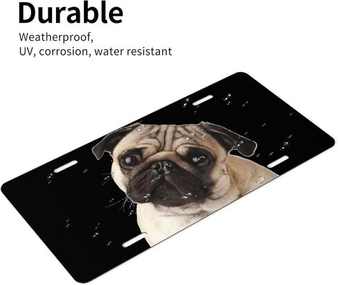 Pug Dog Front License Plate for Women Car Vanity Plates Decorative Aluminum Metal Cute Novelty License Plate Cover for Men 6x12 Inch (4 Holes) in Saudi Arabia