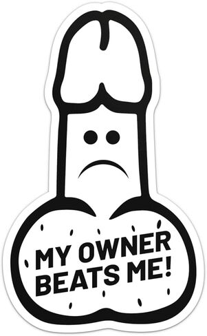 My Owner Beats Me Sticker - Waterproof Vinyl Decal for Car Bumper, Laptop, Water Bottle, Wall, and Window, Size - 3'' Longer Side in Saudi Arabia