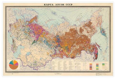 Antiguos Maps - USSR Soviet Russia Forest Map circa 1959 | Vintage Russian Wall Decor | 24 x 36 inches in Saudi Arabia