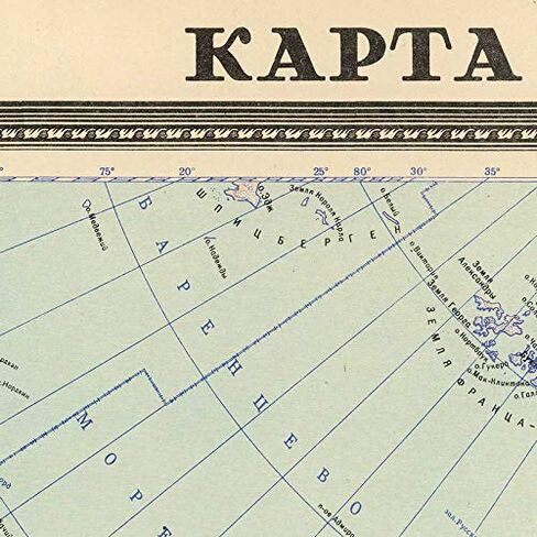 Antiguos Maps - USSR Soviet Russia Forest Map circa 1959 | Vintage Russian Wall Decor | 24 x 36 inches in Saudi Arabia