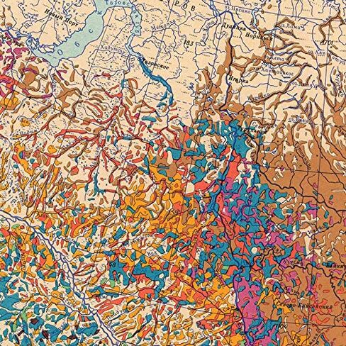 Antiguos Maps - USSR Soviet Russia Forest Map circa 1959 | Vintage Russian Wall Decor | 24 x 36 inches in Saudi Arabia