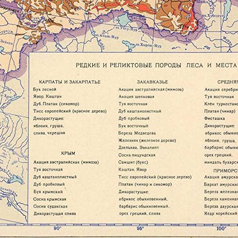 Antiguos Maps - USSR Soviet Russia Forest Map circa 1959 | Vintage Russian Wall Decor | 24 x 36 inches in Saudi Arabia