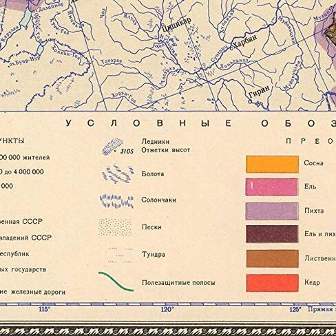 Antiguos Maps - USSR Soviet Russia Forest Map circa 1959 | Vintage Russian Wall Decor | 24 x 36 inches in Saudi Arabia