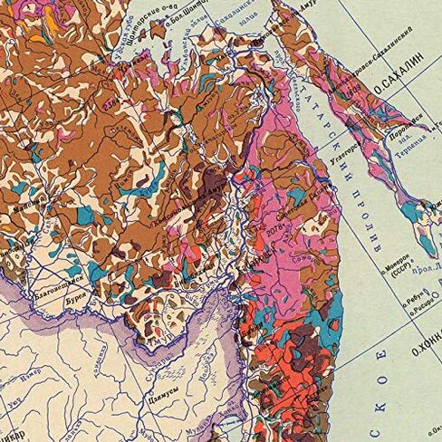 Antiguos Maps - USSR Soviet Russia Forest Map circa 1959 | Vintage Russian Wall Decor | 24 x 36 inches in Saudi Arabia