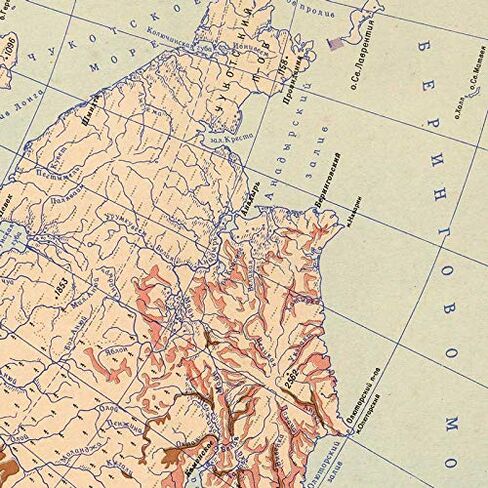 Antiguos Maps - USSR Soviet Russia Forest Map circa 1959 | Vintage Russian Wall Decor | 24 x 36 inches in Saudi Arabia
