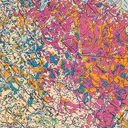 Antiguos Maps - USSR Soviet Russia Forest Map circa 1959 | Vintage Russian Wall Decor | 24 x 36 inches in Saudi Arabia