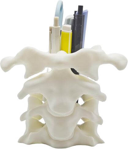 TIME&TRAVE Unique Spine Pen Holder for Desk, Pencil Holder Desk Organizers, Office Supplies Decorations Idea Gift for Doctors, Nurses, Chiropractors in Saudi Arabia