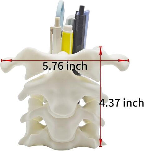 TIME&TRAVE Unique Spine Pen Holder for Desk, Pencil Holder Desk Organizers, Office Supplies Decorations Idea Gift for Doctors, Nurses, Chiropractors in Saudi Arabia