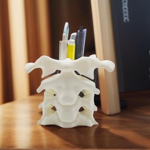 TIME&TRAVE Unique Spine Pen Holder for Desk, Pencil Holder Desk Organizers, Office Supplies Decorations Idea Gift for Doctors, Nurses, Chiropractors in Saudi Arabia