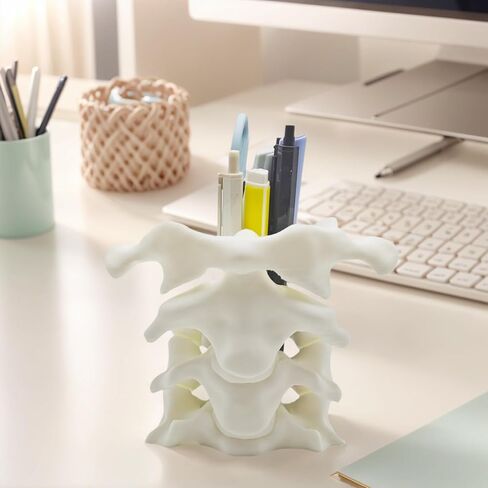 TIME&TRAVE Unique Spine Pen Holder for Desk, Pencil Holder Desk Organizers, Office Supplies Decorations Idea Gift for Doctors, Nurses, Chiropractors in Saudi Arabia
