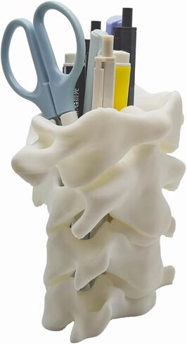 TIME&TRAVE Unique Spine Pen Holder for Desk, Pencil Holder Desk Organizers, Office Supplies Decorations Idea Gift for Doctors, Nurses, Chiropractors in Saudi Arabia
