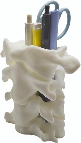 TIME&TRAVE Unique Spine Pen Holder for Desk, Pencil Holder Desk Organizers, Office Supplies Decorations Idea Gift for Doctors, Nurses, Chiropractors in Saudi Arabia