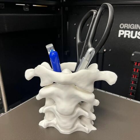 TIME&TRAVE Unique Spine Pen Holder for Desk, Pencil Holder Desk Organizers, Office Supplies Decorations Idea Gift for Doctors, Nurses, Chiropractors in Saudi Arabia