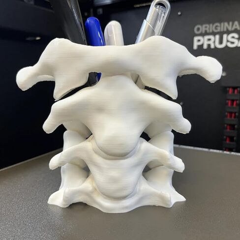 TIME&TRAVE Unique Spine Pen Holder for Desk, Pencil Holder Desk Organizers, Office Supplies Decorations Idea Gift for Doctors, Nurses, Chiropractors in Saudi Arabia