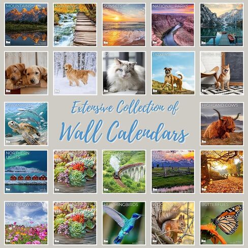 تقويم حائط السلاحف البحرية 2026 | 12 بوصة × 24 بوصة مفتوح | تصوير تقويم الطبيعة ورق سميك وقوي للتخطيط | ديكور مطبخ مكتبي أو هدية | مطبعة مياه المحيط الهادئ (السلاحف البحرية) in Kuwait
