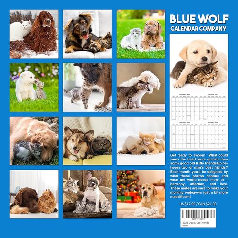 تقويم الحائط الشهري لصغار الباندا لعام 2026 | تقويم حيوانات الأطفال اللطيفة 2025-2026 in Kuwait