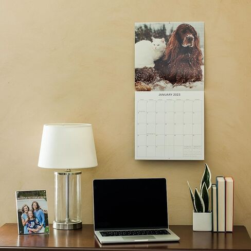 تقويم الحائط الشهري لصغار الباندا لعام 2026 | تقويم حيوانات الأطفال اللطيفة 2025-2026 in Kuwait