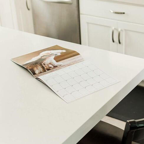 تقويم الحائط الشهري لصغار الباندا لعام 2026 | تقويم حيوانات الأطفال اللطيفة 2025-2026 in Kuwait