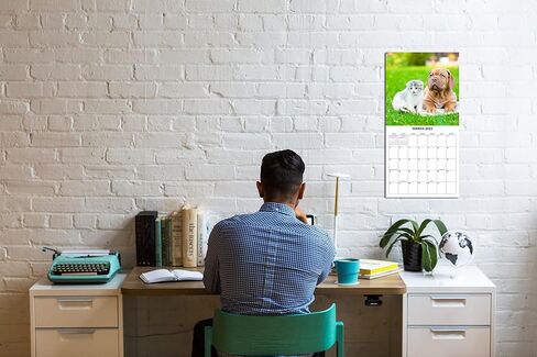 تقويم الحائط الشهري لصغار الباندا لعام 2026 | تقويم حيوانات الأطفال اللطيفة 2025-2026 in Kuwait