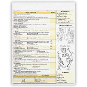 MDpocket National Institutes of Health Stroke Scale (NIHSS) Notepad (2 Pack (50 Sheets))