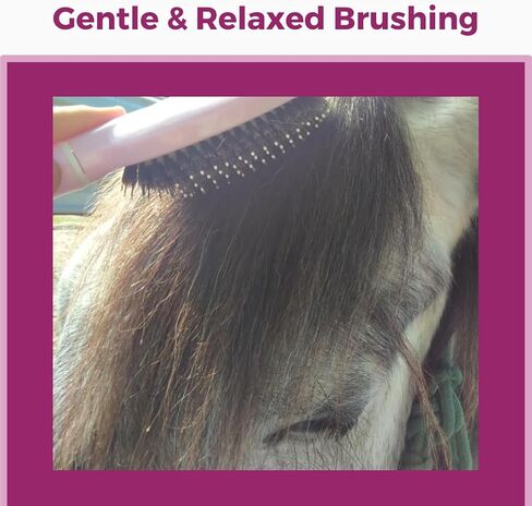 Mane & Tail Horse Grooming Brush, Natural Bristles & Nylon Pins, Detangles & Conditions Thick, Curly or Fine Equine Hair in Saudi Arabia