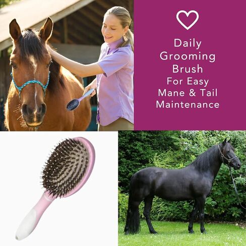Mane & Tail Horse Grooming Brush, Natural Bristles & Nylon Pins, Detangles & Conditions Thick, Curly or Fine Equine Hair in Saudi Arabia