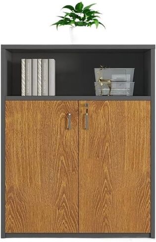File Cabinet Office File Cabinet Partition Modern Simple Locking Data Storage Cabinet Printer Tool Storage Cabinet Office Cabinet in Saudi Arabia
