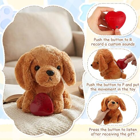 Libima 5 Pack 14 "Bears محشوة الحيوانات مع مسجل الصوت مجموعة 30 ثانية الصوت وحدة تسجيل الصوت أفخم دب لطيف محشو ألعاب أفخم مع صندوق صوت سستة قابلة للتسجيل (ملونة) in Kuwait