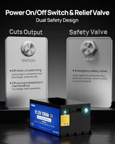 DC HOUSE 48V 100AH Cold-Resistant Metal Case Lithium Battery Golf Cart, Low Temp Discharge Down to -22°F, ≥95% Capacity Retention in Winter, 200A BMS, Bluetooth & LCD Monitor, Peak Current 700A in Saudi Arabia