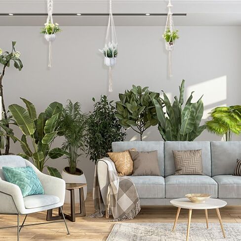 freebloss 3 مجموعات macrame مصنع شماعات عدة macrame الجدار شنقا عدة macrame مصنع الشماعات داخلي شنقا زارع سلة macrame كيت للمبتدئين مع فيديو تعليمي in Saudi Arabia