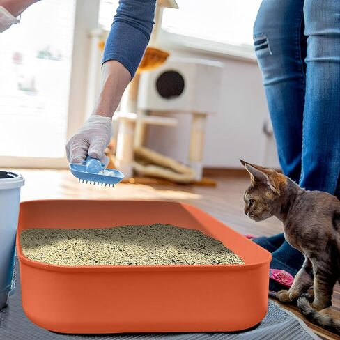 5 Pcs Small Litter Box, Plastic Kitten Litter Box, 13.9 x 9.8 x 3 Inch Open Litter Box for Small Pet, Easy to Clean Pet Friendly in Kuwait