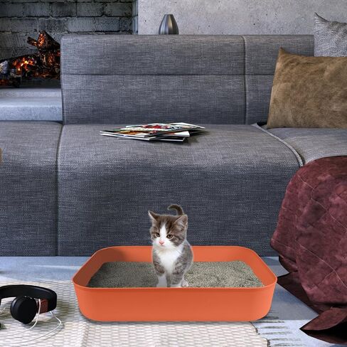 5 Pcs Small Litter Box, Plastic Kitten Litter Box, 13.9 x 9.8 x 3 Inch Open Litter Box for Small Pet, Easy to Clean Pet Friendly in Kuwait