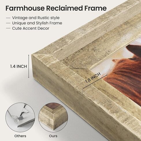 إطار صورة Fun Memories Rustic مقاس 11 × 14، إطار صورة خشبي مع مجموعة زجاج شبكي عالي الدقة، إطار خشبي بنمط المزرعة للتركيب على الحائط أو عرض الطاولة لملصقات الصور (أبيض متعثر) in Kuwait