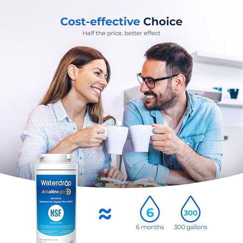 Waterdrop UKF8001 Refrigerator Water Filter 4, Compatible with Whirlpool EDR4RXD1, EveryDrop Filter 4, Maytag UKF8001AXX-750, UKF8001AXX-200, 46-9006, Puriclean II, WF-UKF8001 in Kuwait