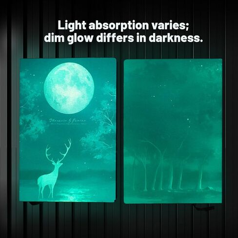Glow-in-the-Dark Cool Journal Notebooks, Suitable for Boys, Girls, and Children As Gifts, School Specific Diary， A5 Notepad in Saudi Arabia