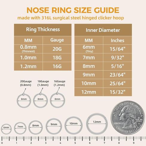 Afftiny Nose Ring Septum Hoop 20G/18G/16G/14G/12G 316L Surgical Stainless Steel Hinged Seamless Earrings, Diameter 5MM-16MM, Gold/Silver/Black/Rose Gold/Rainbow Color in Kuwait
