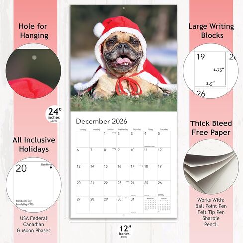 Puppies 2024 Hangable Wall Calendar - 12" x 24" Open - Cute Funny Dog Photo Gift - Sturdy Thick Puppy Dogs Photography - Large Full Page 16 Months for Organizing & Planning - Includes 2023 in Saudi Arabia