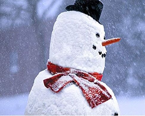 13Pcs Snowman Decorating Kit Snowman Hat Scarf Eyes Nose Mouth Making Building Accessories for Winter Christmas Holiday Party Outdoor Toys Decoration in Saudi Arabia