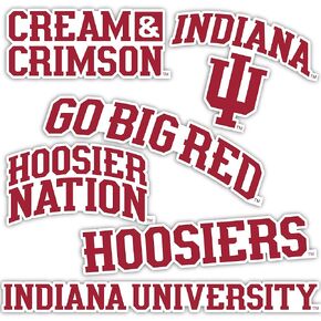 Desert Cactus Indiana University Hoosiers Bloomington Stickers Vinyl Decals Laptop Water Bottle Car Scrapbook T2 (Type 2)