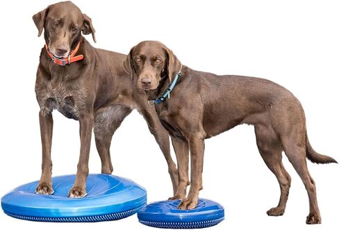 14" FitPAWS® Dog Training/Rehabilitation Balance Disc, Blue in Saudi Arabia