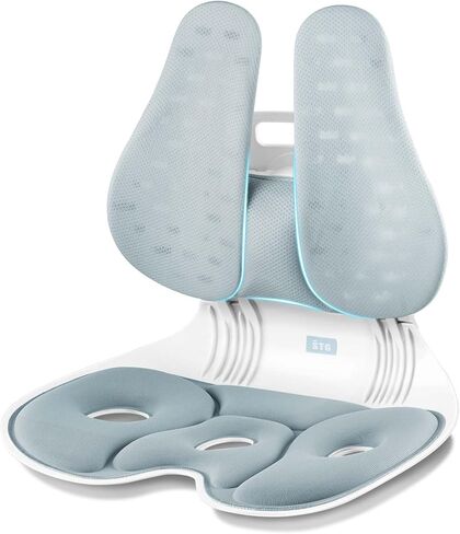 ZZWS Foldable Ergonomic Back and Lumbar Support with Adjustable Inflatable Lumbar Cushion for Good Posture Correction and Back Pain Relief, Perfect for Office, Floor Seat and Work from Home in Saudi Arabia