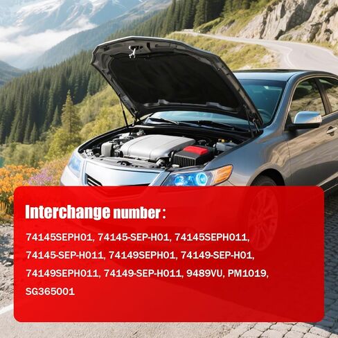 الكمية (2) دعامات رفع الباب الخلفي للباب الخلفي، دعامات رفع الصدمات لـ 2010-2015 Lexus RX350/ RX450h Base Sport، Lexus RX350 F Sport Rear Tailgate (6756 PM3066 689500E030 689600E030) in Kuwait