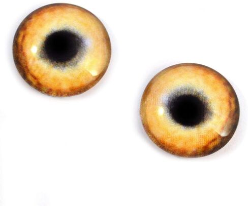 Light Brown Wolf Glass Eyes Realistic Animal Pair for Art Dolls, Sculptures, Props, Masks, Fursuits, Jewelry Making, Taxidermy, and More (16mm) in Saudi Arabia
