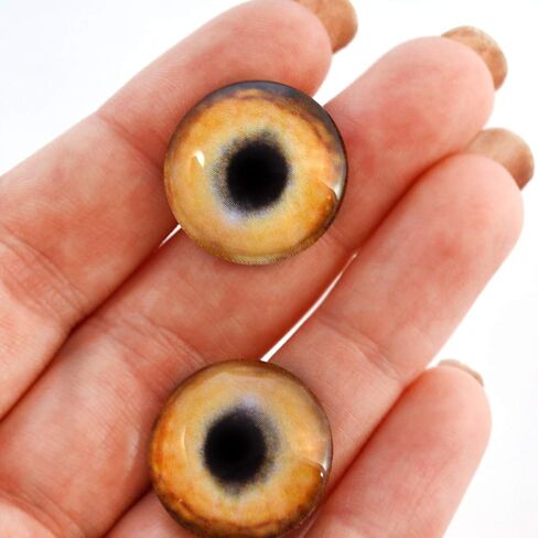 Light Brown Wolf Glass Eyes Realistic Animal Pair for Art Dolls, Sculptures, Props, Masks, Fursuits, Jewelry Making, Taxidermy, and More (16mm) in Saudi Arabia