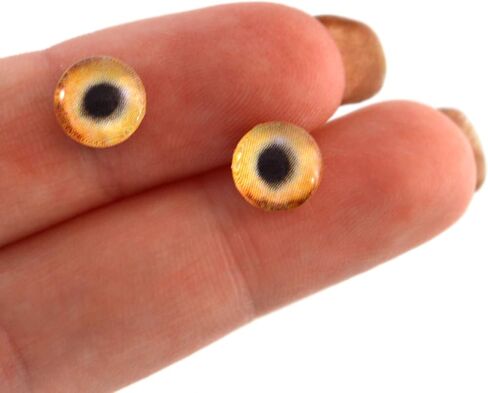 Light Brown Wolf Glass Eyes Realistic Animal Pair for Art Dolls, Sculptures, Props, Masks, Fursuits, Jewelry Making, Taxidermy, and More (16mm) in Saudi Arabia